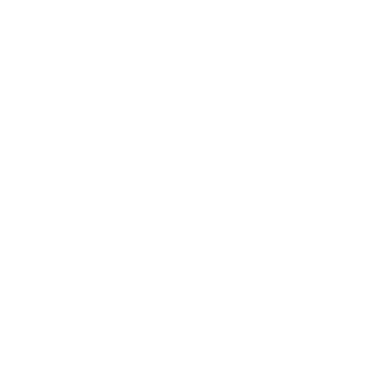 Market Research & Investment Model Icon