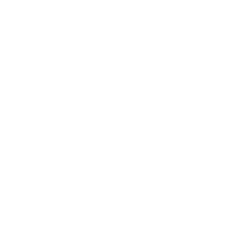 Launch and Support Icon